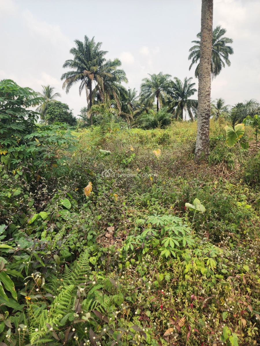 Fantastic Plots of Land, Airport Road, Uyo, Akwa Ibom, Mixed-use Land for Sale