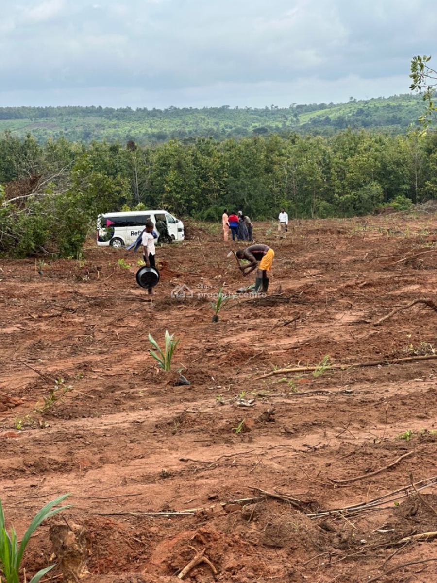 1 Hectare of Palm Tree Plantation, Yewa North, Imeko Afon, Ogun, Commercial Land for Sale