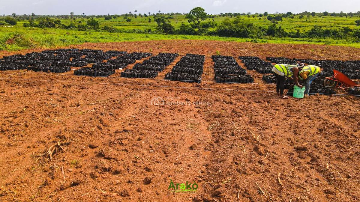 1 Hectare of Palm Tree Plantation, Yewa North, Imeko Afon, Ogun, Commercial Land for Sale