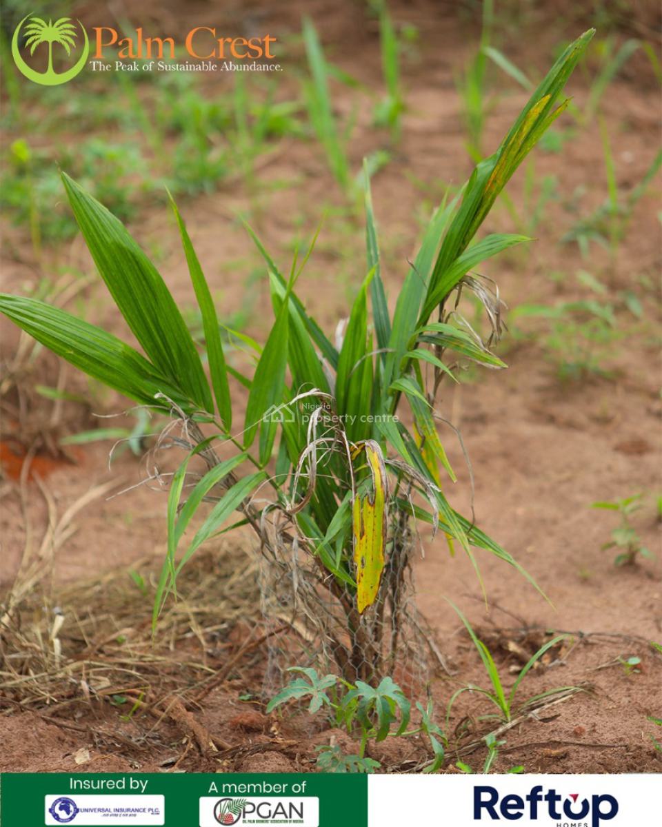 Land, Palmcrest, Imeko Afon, Ogun, Commercial Land for Sale