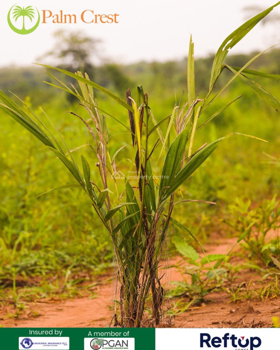 Land, Palmcrest, Imeko Afon, Ogun, Commercial Land for Sale