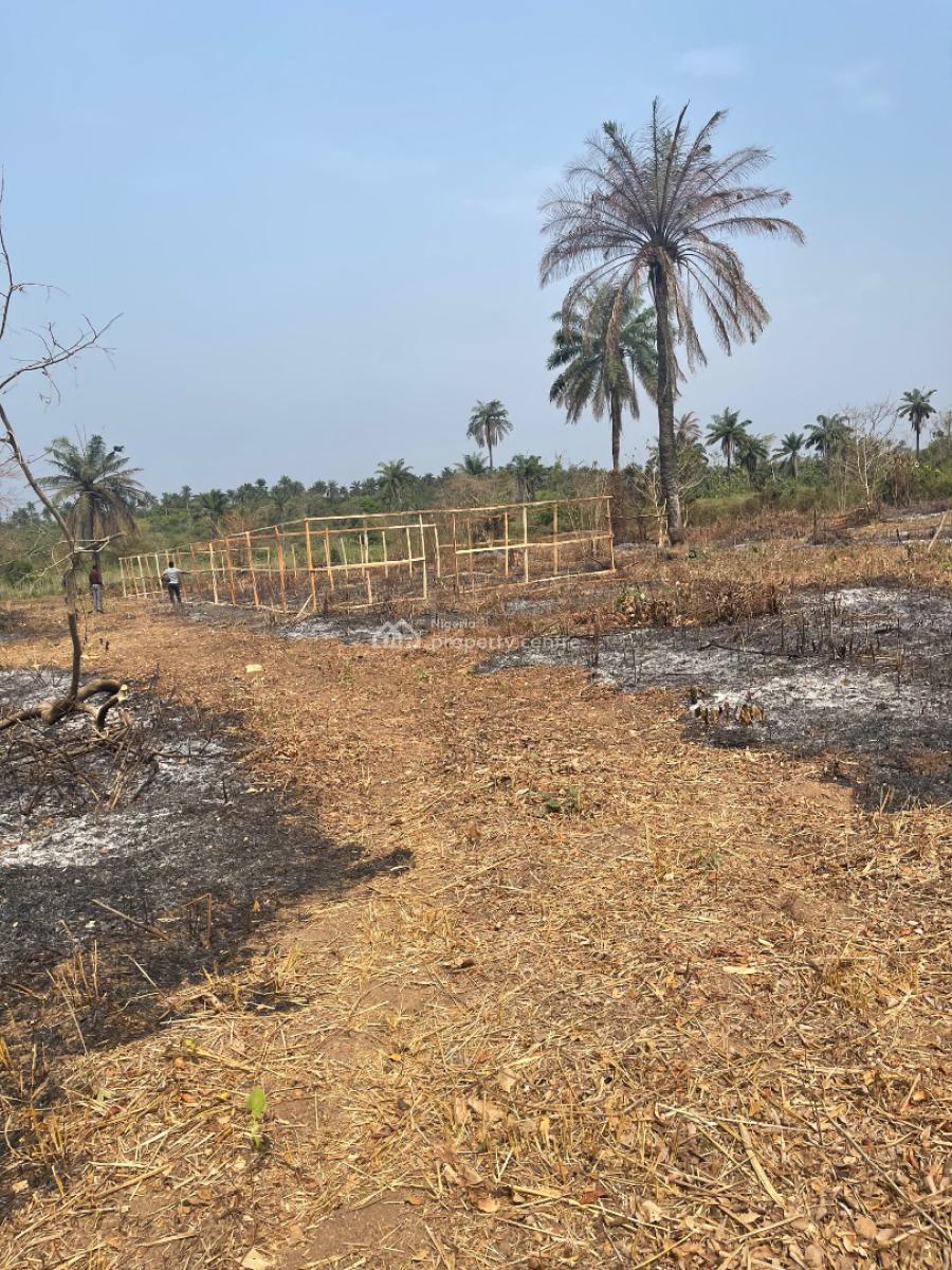 Cocoa Republiq, Obafemi Owode, Ogun, Land for Sale