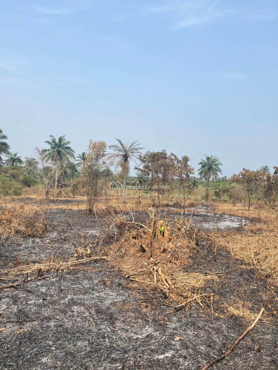 Cocoa Republiq, Obafemi Owode, Ogun, Land for Sale