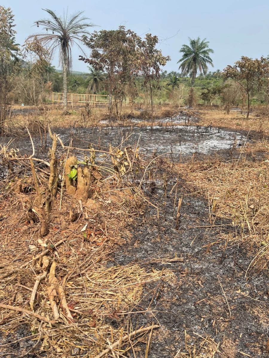 Cocoa Republiq, Obafemi Owode, Ogun, Land for Sale