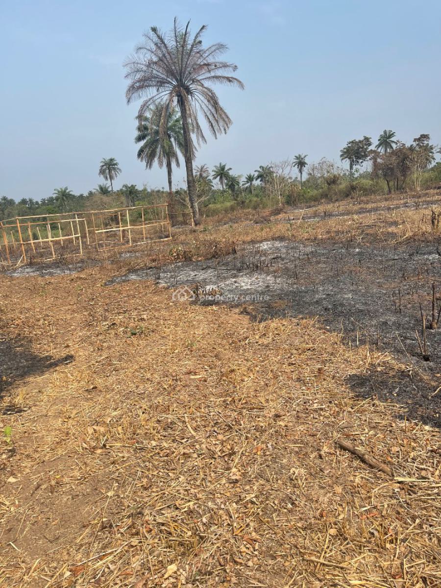 Cocoa Republiq, Obafemi Owode, Ogun, Land for Sale