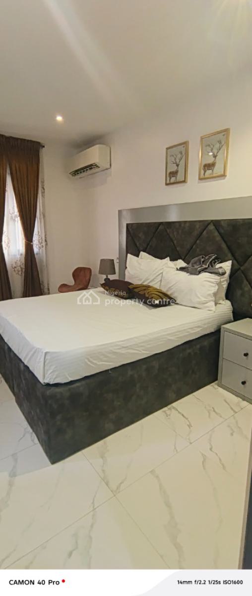 Standard and Fully Service Mini Flat in Leaks Right, Across Coastal Road, Lekki Phase 1, Lekki, Lagos, Mini Flat (room and Parlour) for Rent