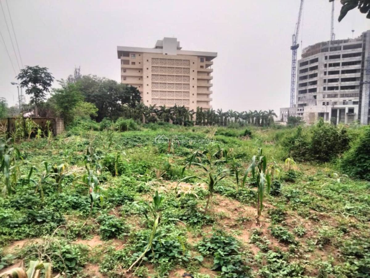 Prime 1.2-hectare Commercial Land -- Abuja Cbd Your Gateway to Prestige, By Nnpc, Central Business District, Abuja, Commercial Land for Sale