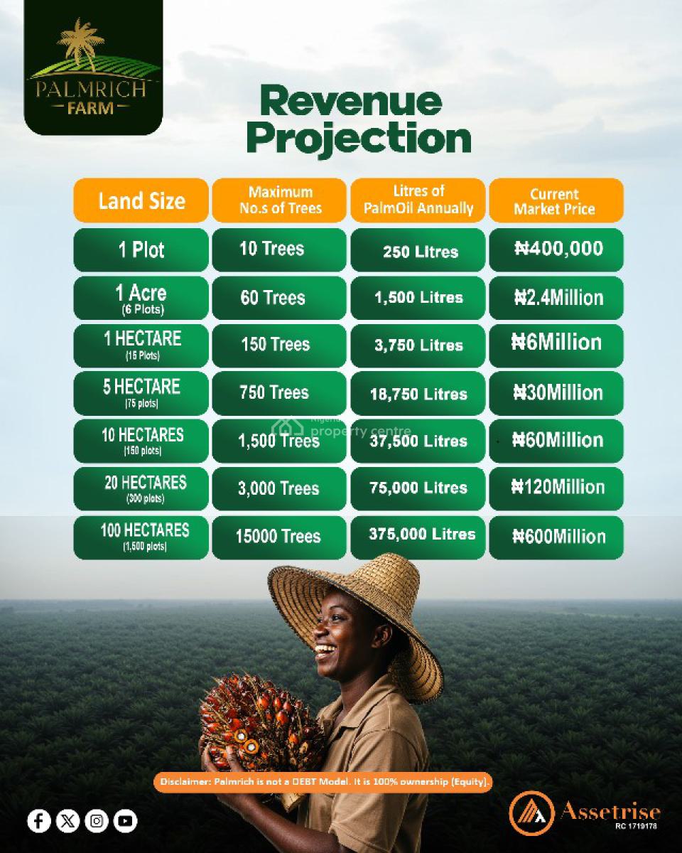 Palm Farm Land, Agbara Industrial Estate - Industrial Layout  - Palm Fortune, Ado-odo/ota, Ogun, Industrial Land for Sale