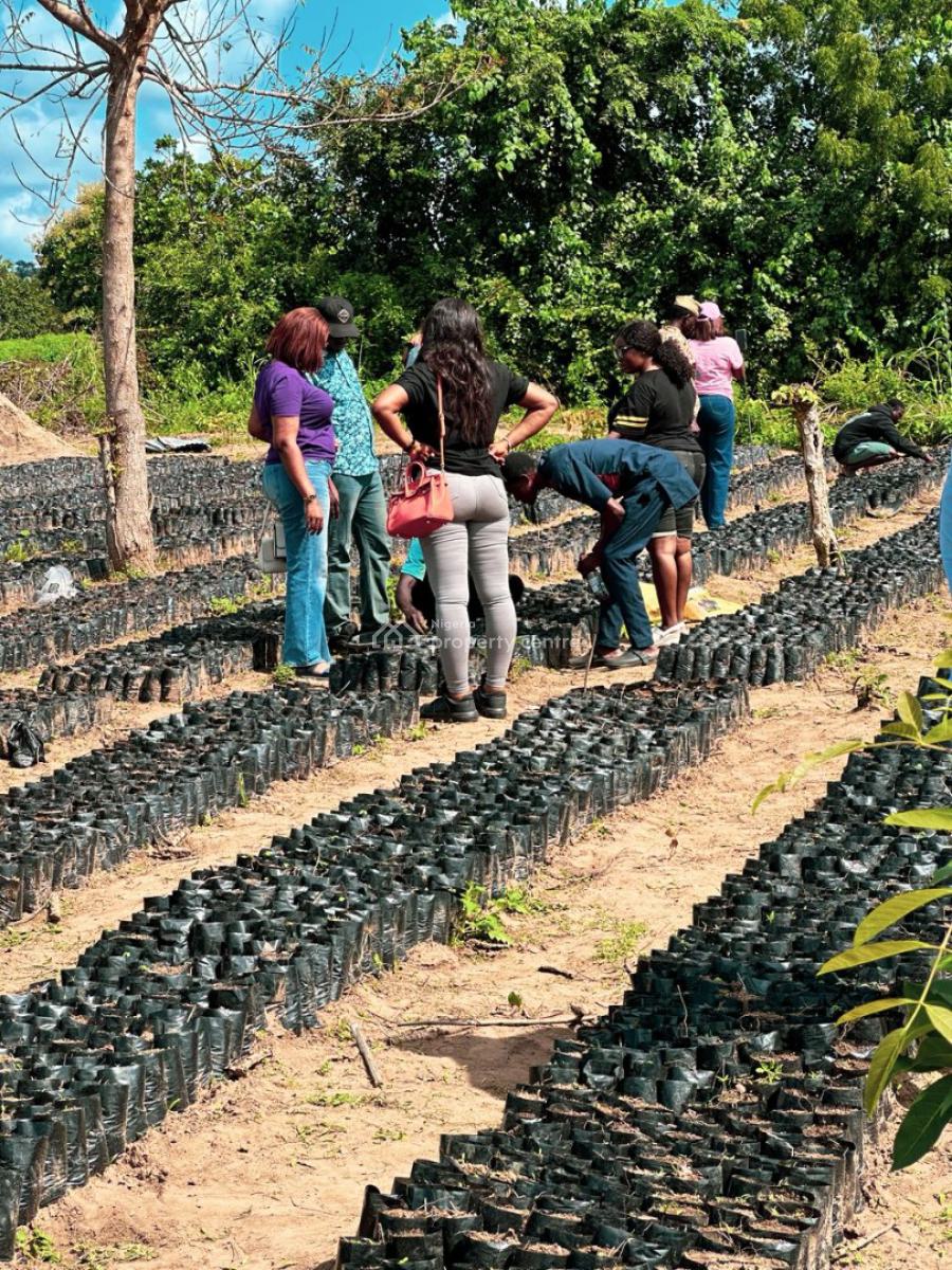 Farm Land, Imeko Afon, Ogun, Industrial Land for Sale