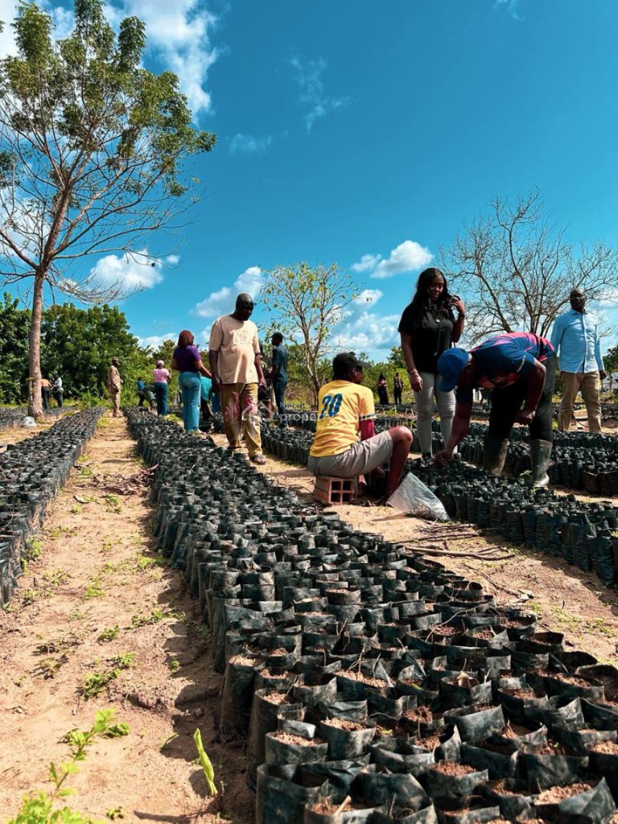 Farm Land, Imeko Afon, Ogun, Industrial Land for Sale