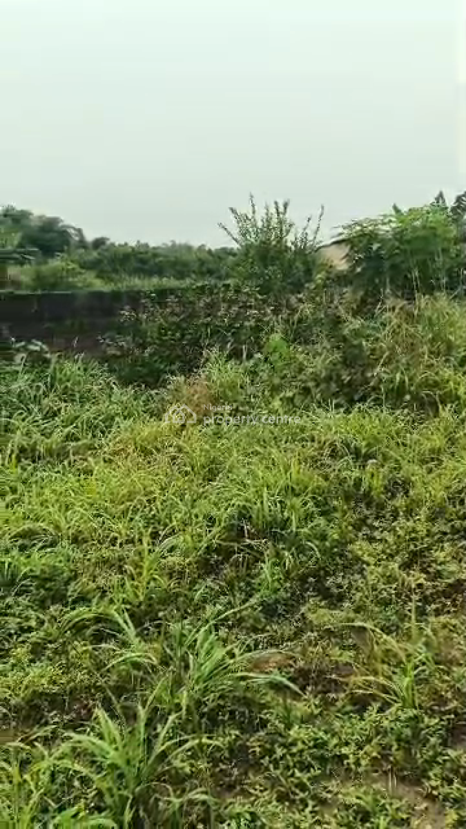 Half Pot of Land, Ikola-ipaja Eleyin, Ipaja, Lagos, Residential Land for Sale