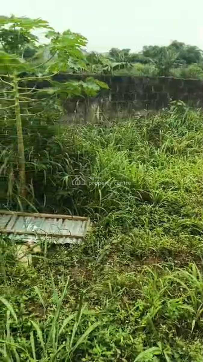 Half Pot of Land, Ikola-ipaja Eleyin, Ipaja, Lagos, Residential Land for Sale