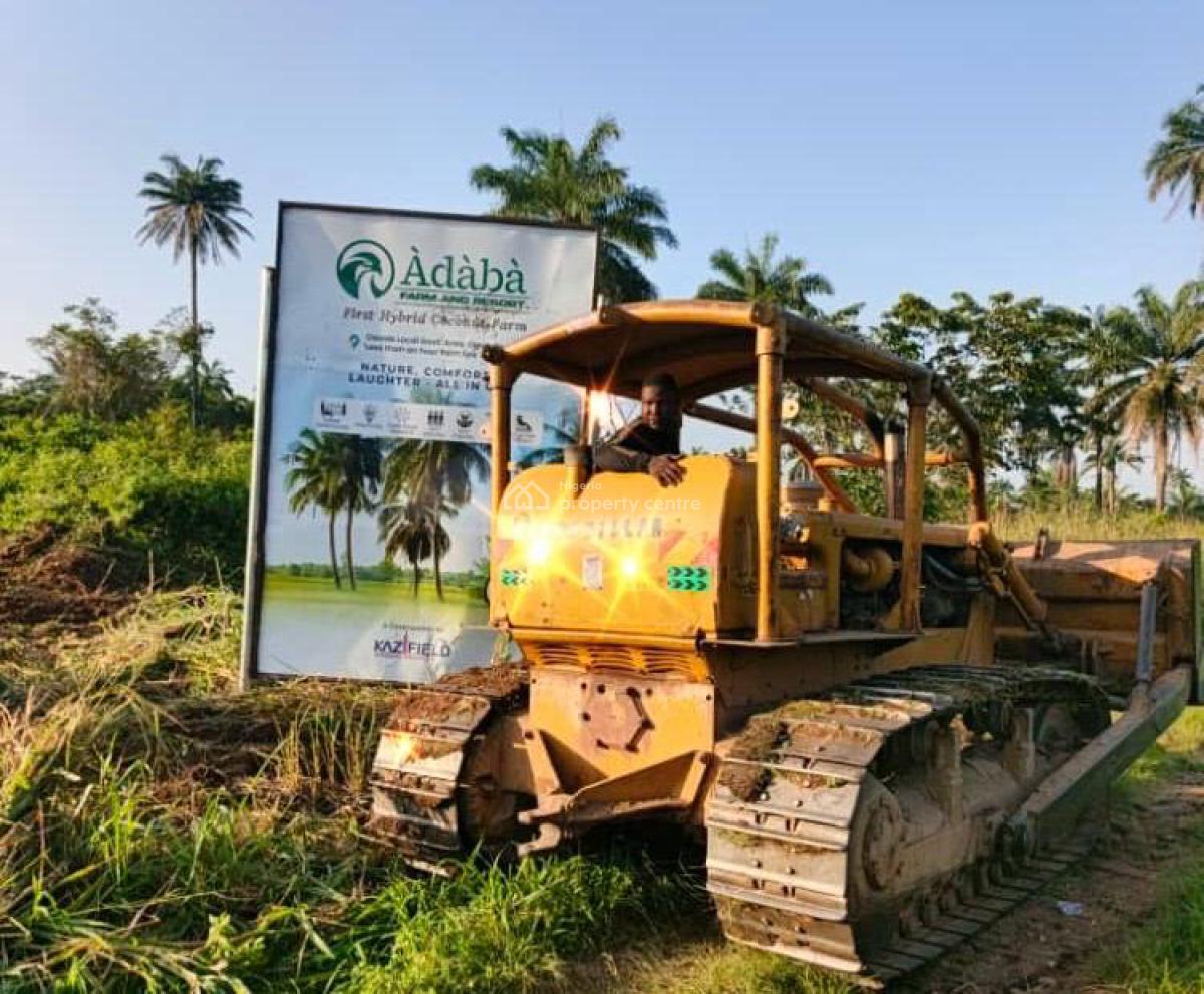 Coconut Farming Investment, Obafemi Owode, Ogun, Commercial Land for Sale