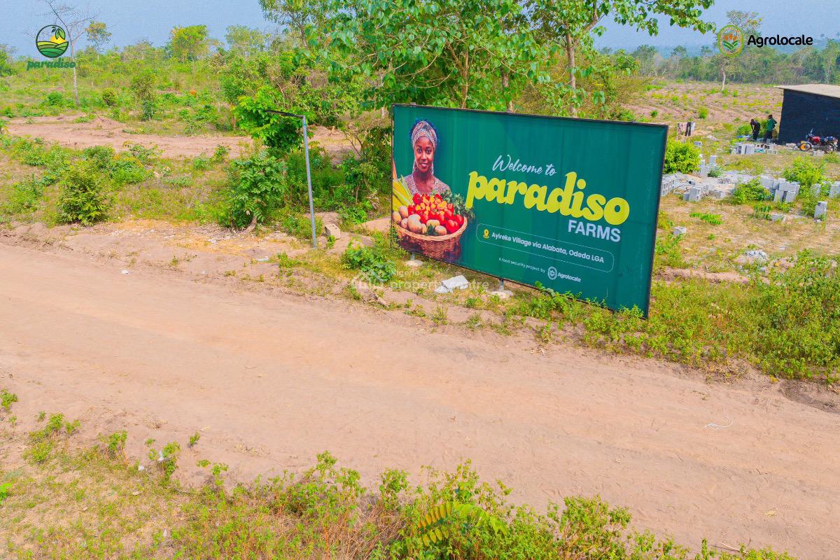 Own an Acre of Farm Land, Ayireke Village, Via Alabata, Odeda, Ogun, Commercial Land for Sale