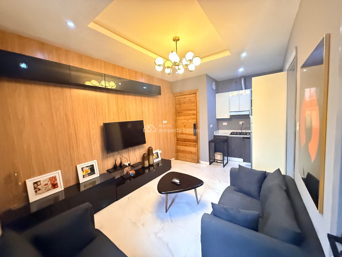 Fully Furnished & Serviced Mini Flat, Lekki Phase 1, Lekki, Lagos, House for Rent