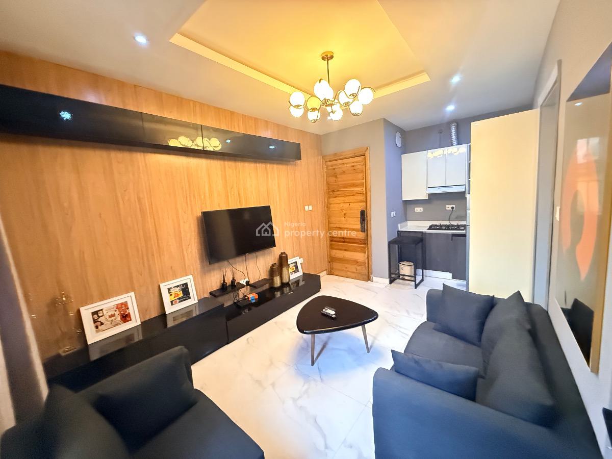 Fully Furnished & Serviced Mini Flat, Lekki Phase 1, Lekki, Lagos, House for Rent