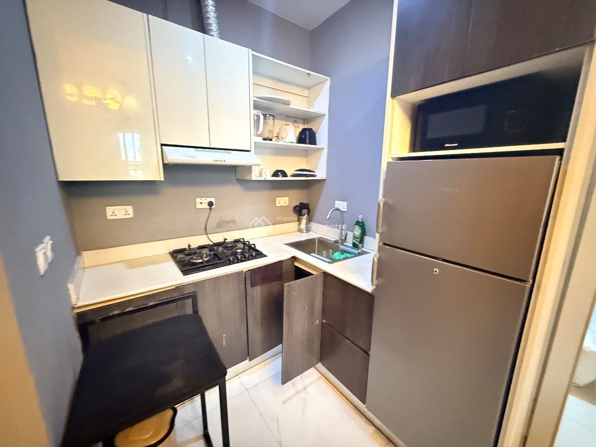 Fully Furnished & Serviced Mini Flat, Lekki Phase 1, Lekki, Lagos, House for Rent