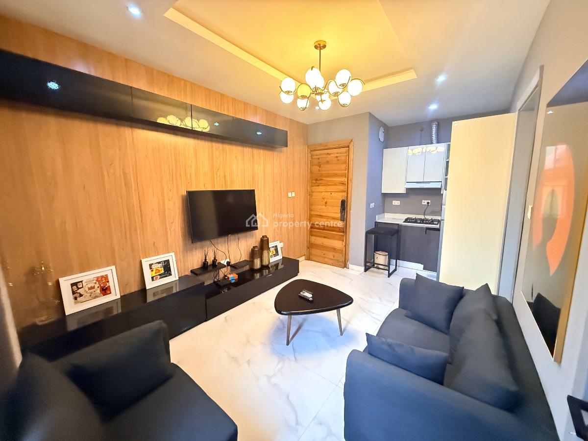 Fully Furnished & Serviced Mini Flat, Lekki Phase 1, Lekki, Lagos, House for Rent
