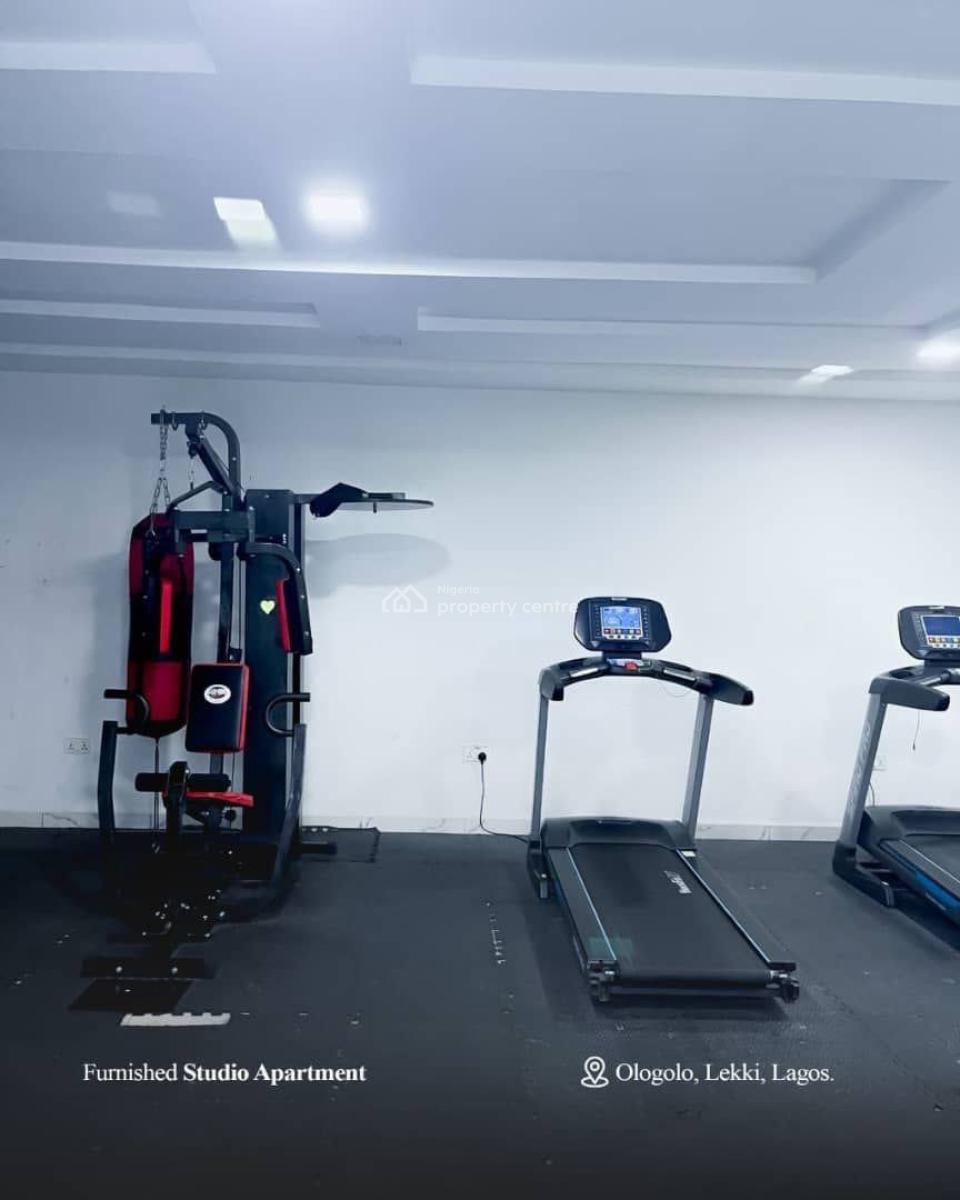 Exquisite Furnished Spacious Studio Apartment, Ologolo, Lekki Phase 1, Lekki, Lagos, Flat / Apartment for Rent