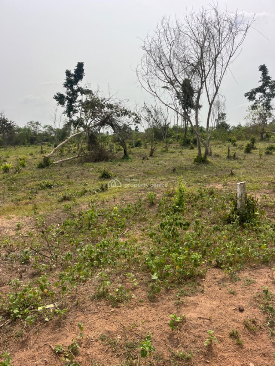 2000 Acres of Land Good for Estate and Any Other Commercial Purposes, Ajiboro Junction, Onikanga Village,ido /eruwa Road, Eleyele, Ibadan, Oyo, Commercial Land for Sale