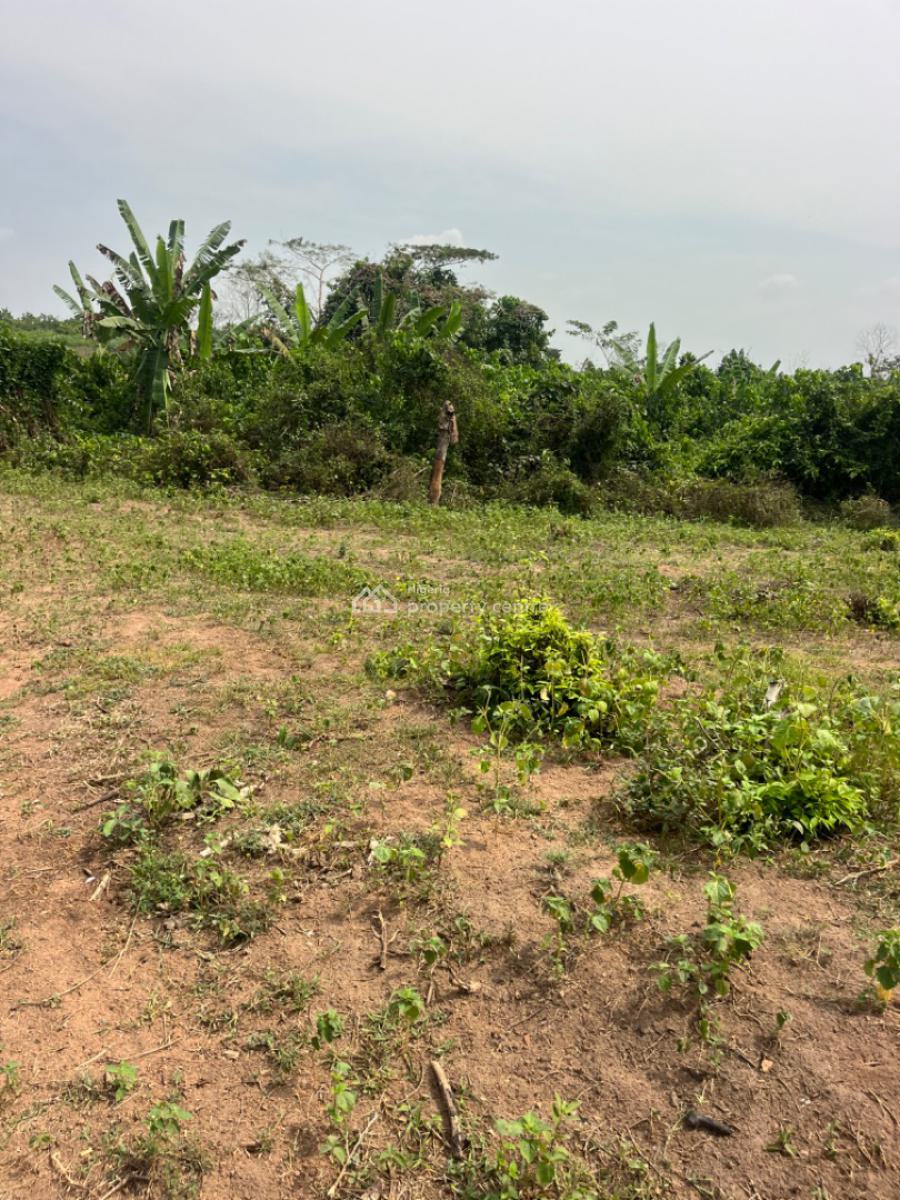 2000 Acres of Land Good for Estate and Any Other Commercial Purposes, Ajiboro Junction, Onikanga Village,ido /eruwa Road, Eleyele, Ibadan, Oyo, Commercial Land for Sale