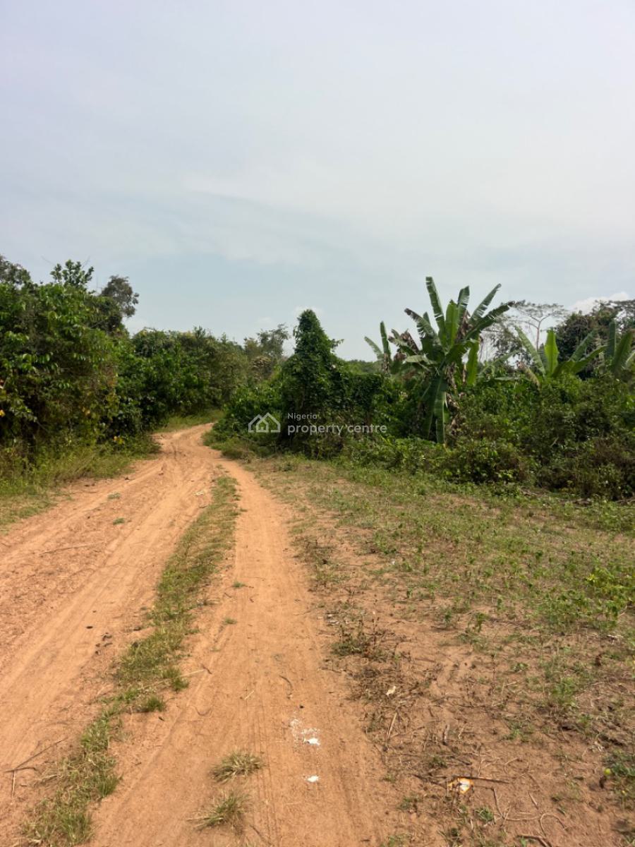 2000 Acres of Land Good for Estate and Any Other Commercial Purposes, Ajiboro Junction, Onikanga Village,ido /eruwa Road, Eleyele, Ibadan, Oyo, Commercial Land for Sale
