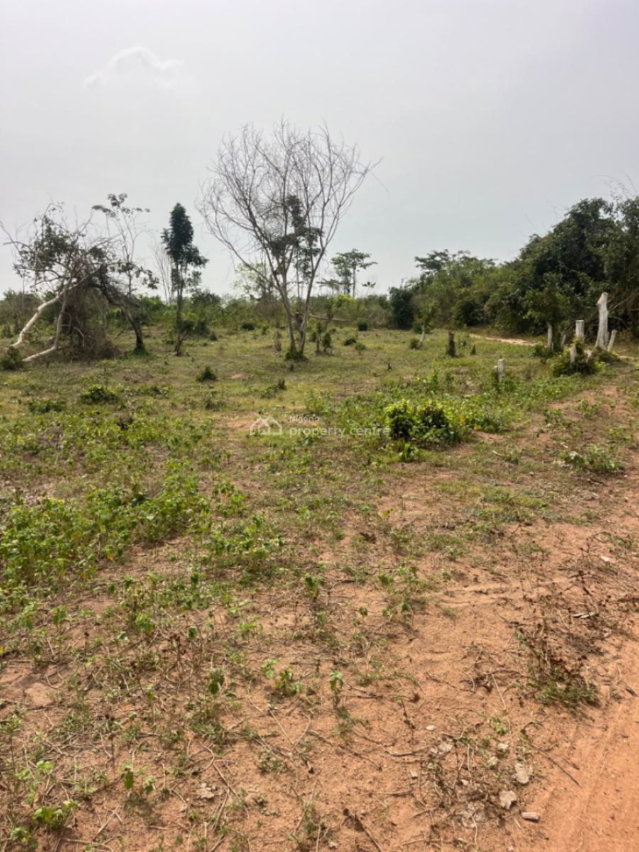 2000 Acres of Land Good for Estate and Any Other Commercial Purposes, Ajiboro Junction, Onikanga Village,ido /eruwa Road, Eleyele, Ibadan, Oyo, Commercial Land for Sale