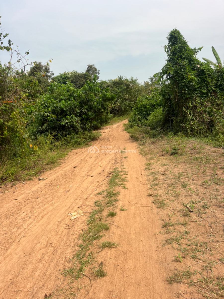 2000 Acres of Land Good for Estate and Any Other Commercial Purposes, Ajiboro Junction, Onikanga Village,ido /eruwa Road, Eleyele, Ibadan, Oyo, Commercial Land for Sale