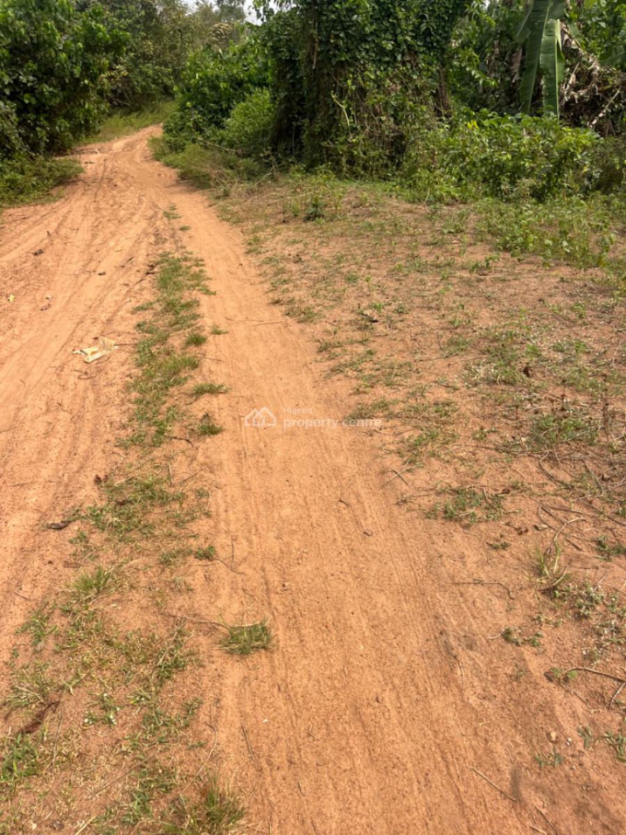 2000 Acres of Land Good for Estate and Any Other Commercial Purposes, Ajiboro Junction, Onikanga Village,ido /eruwa Road, Eleyele, Ibadan, Oyo, Commercial Land for Sale