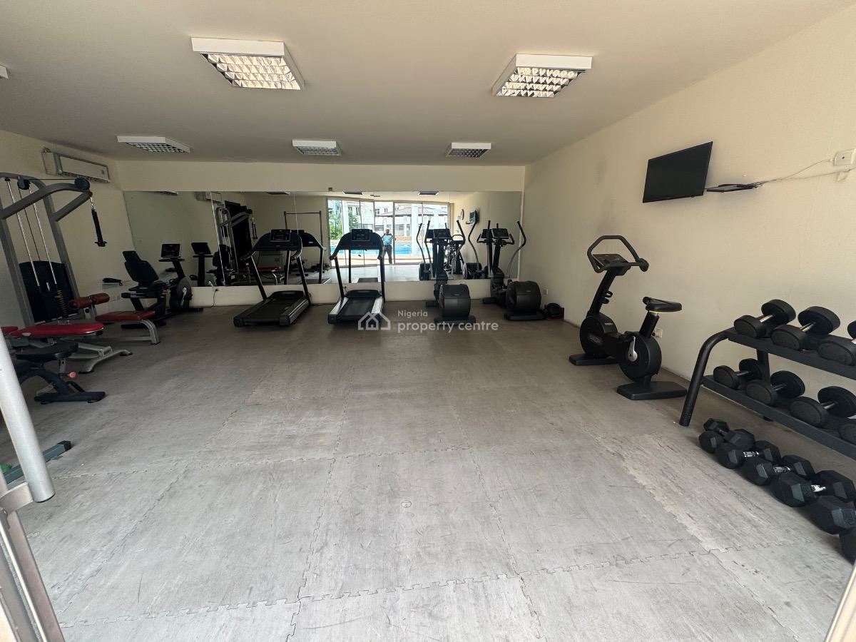 a Serviced 2 Bedroom Penthouse, Old Ikoyi, Ikoyi, Lagos, Flat / Apartment for Rent