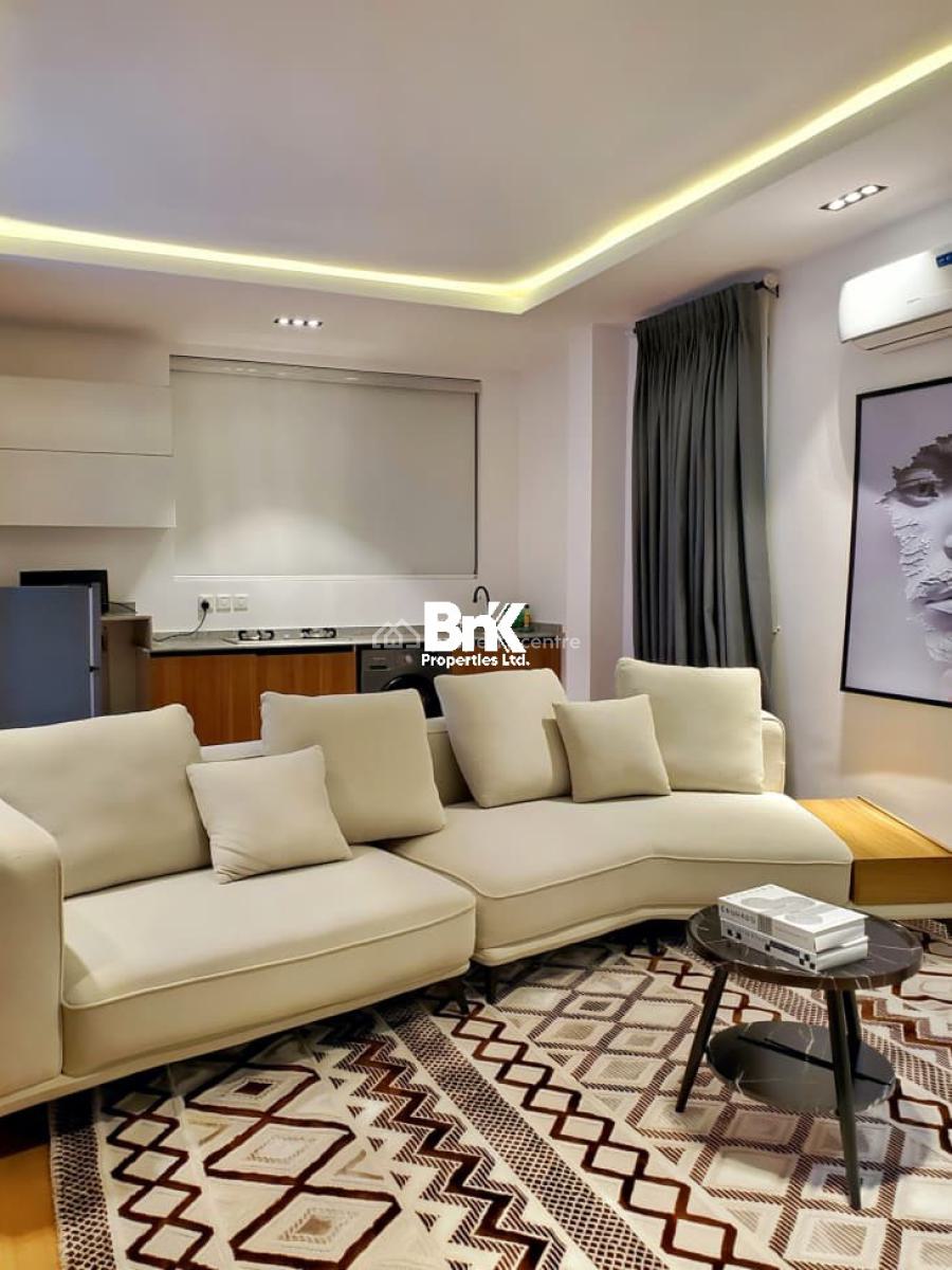 Fully Furnished Luxury 1-bedroom Apartment, Ikoyi, Lagos, Mini Flat (room and Parlour) for Rent