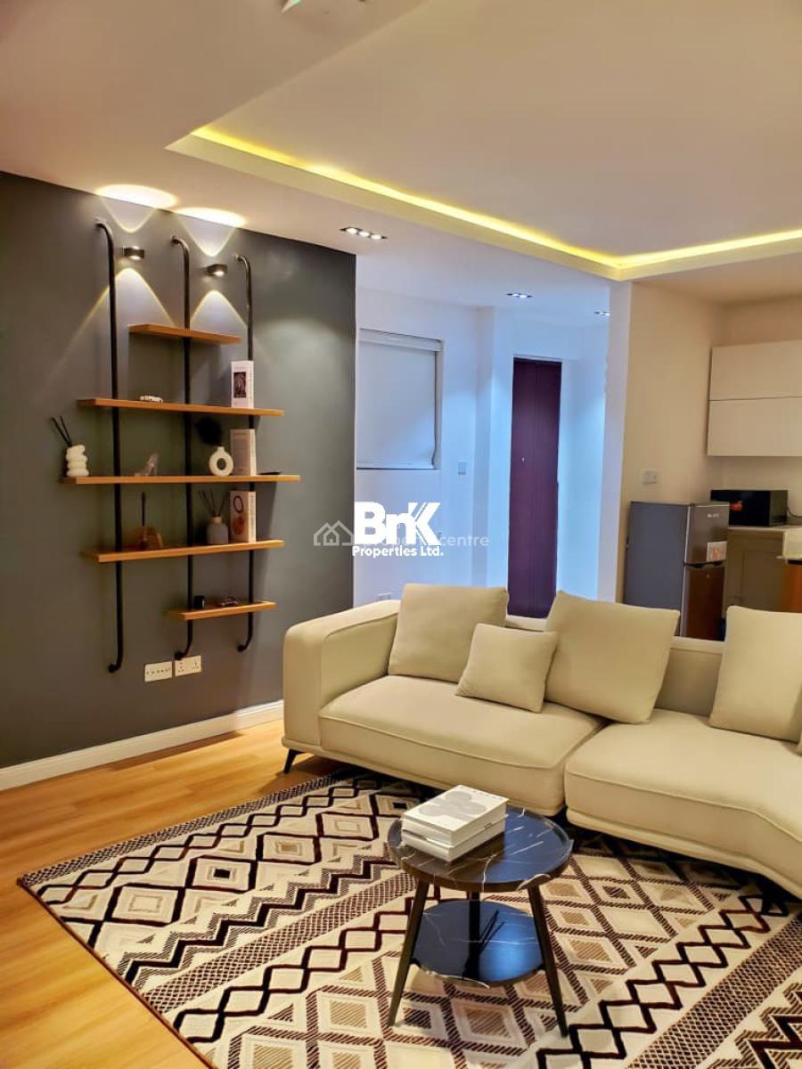 Fully Furnished Luxury 1-bedroom Apartment, Ikoyi, Lagos, Mini Flat (room and Parlour) for Rent