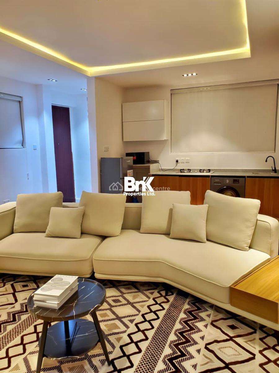 Fully Furnished Luxury 1-bedroom Apartment, Ikoyi, Lagos, Mini Flat (room and Parlour) for Rent