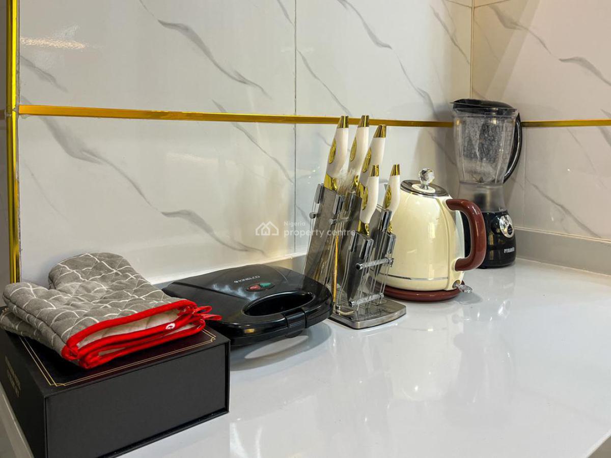 a Luxurious Furnished 2 Bedroom Apartment, Ikate, Lekki, Lagos, Flat / Apartment for Rent