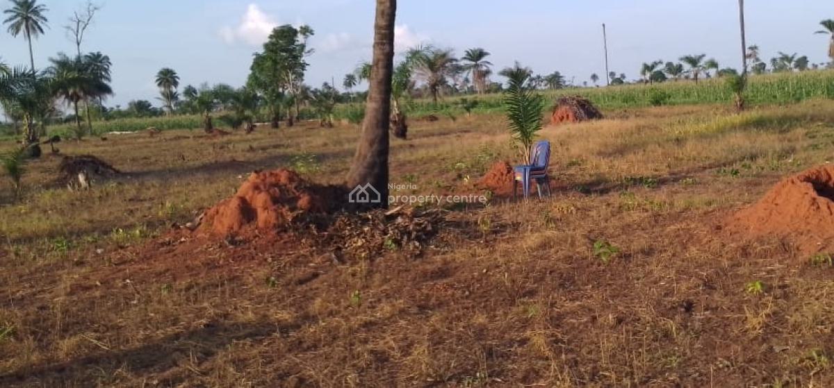 Affordable Land, Besides Open University, Onicha Ugbo,, Asaba, Delta, Residential Land for Sale