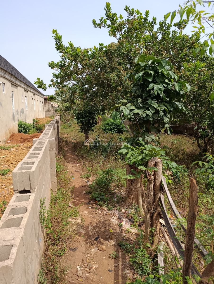 Standard 2 Plots of Land, Papa, Alakia, Ibadan, Oyo, Mixed-use Land for Sale