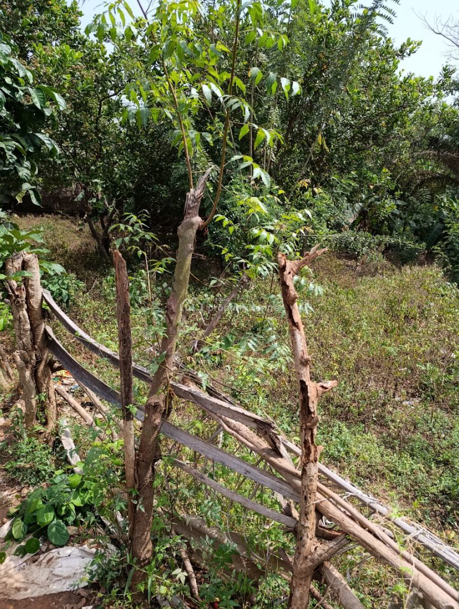 Standard 2 Plots of Land, Papa, Alakia, Ibadan, Oyo, Mixed-use Land for Sale