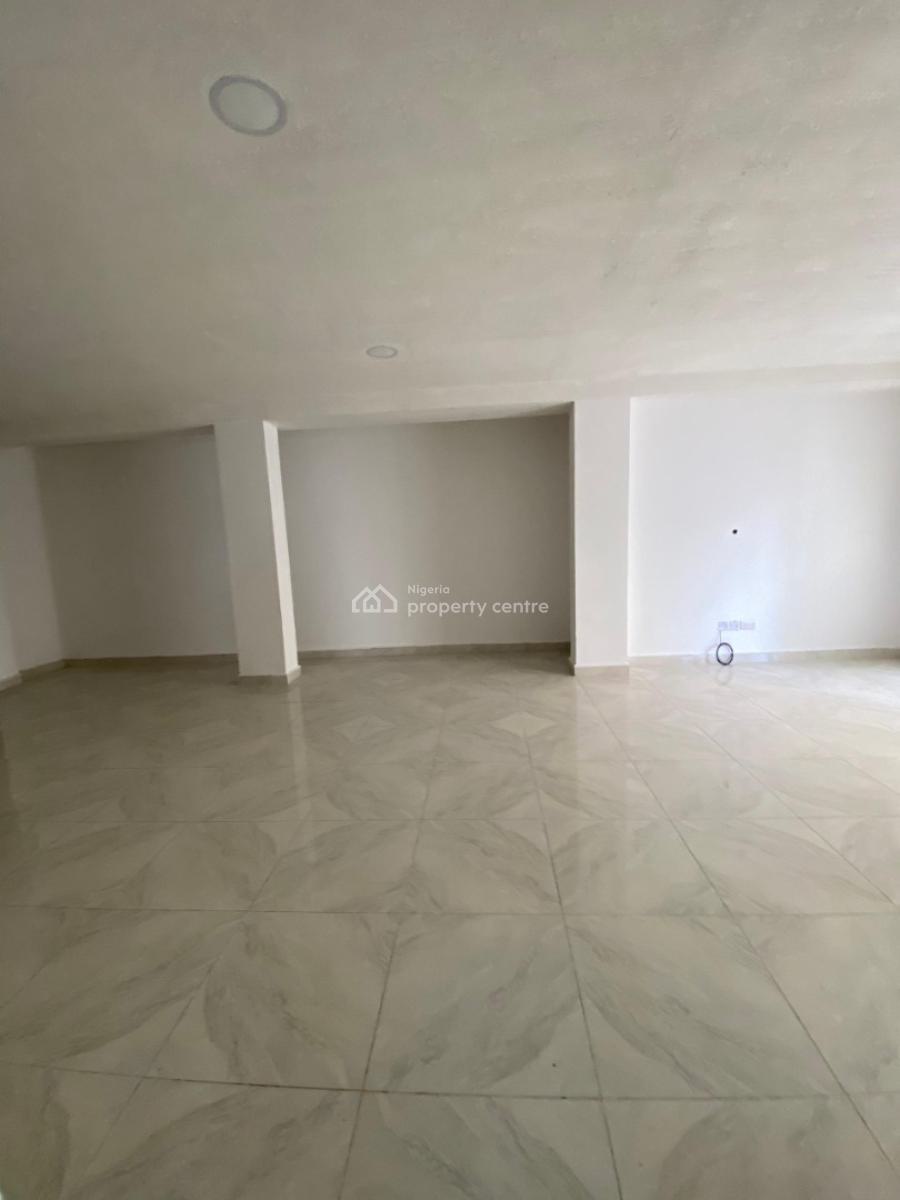 Newly Built Fully Serviced 2 Bedroom Apartment with Elevator, Ikate, Lekki, Lagos, Flat / Apartment for Rent