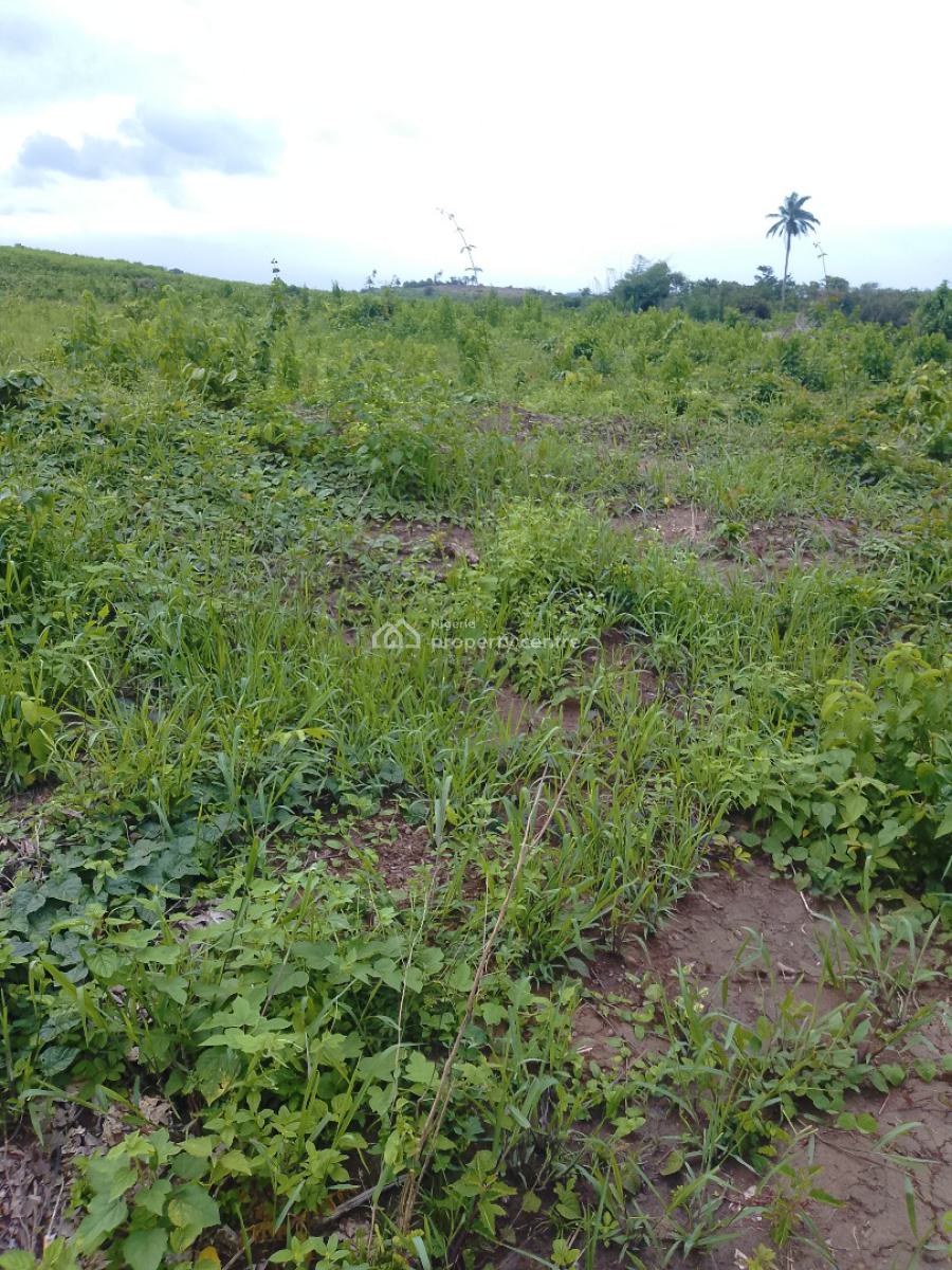 80 Plots of Affordable Land, Off Monastery Road, Sangotedo, Ajah, Lagos, Land for Sale
