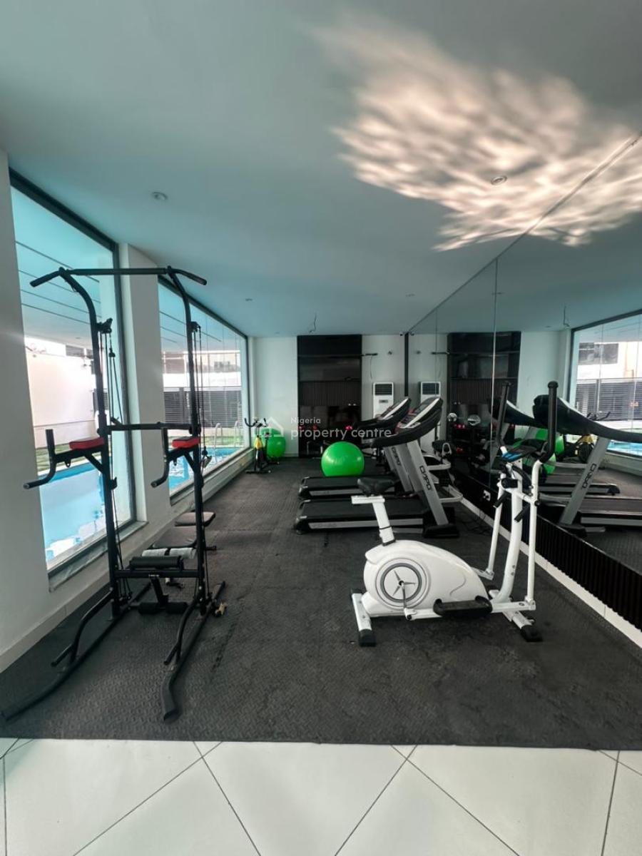 Luxury 2 Bedroom Apartment with Excellent Facility, Ikate, Lekki, Lagos, Flat / Apartment for Rent