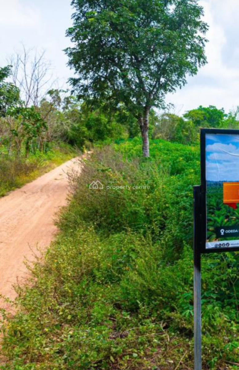 Invest in Palm Oil Plantation, Oil Gold Farm, Odeda, Ogun, Commercial Land for Sale