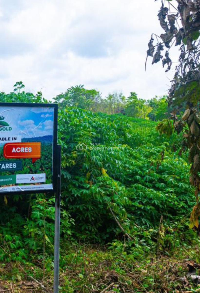 Invest in Palm Oil Plantation, Oil Gold Farm, Odeda, Ogun, Commercial Land for Sale