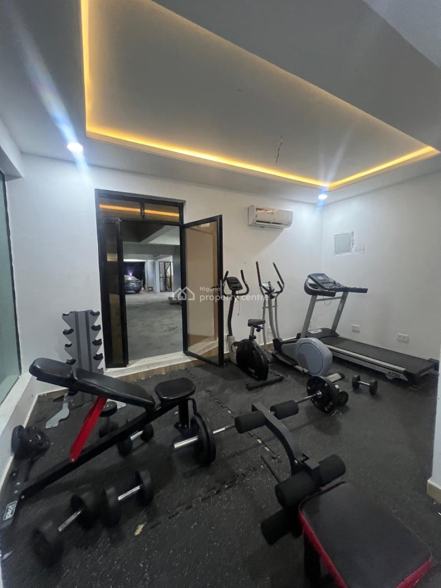 Furnished 2 Bedroom Apartment with Elevator, Swimming Pool and Gym, Ikate, Lekki, Lagos, Flat / Apartment for Rent