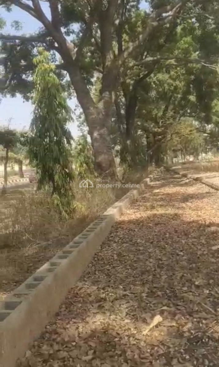 an Expanse of Land Measuring 3,888.888 Sqm, Along Tafawa Balewa Road, Garki, Abuja, Commercial Land for Rent