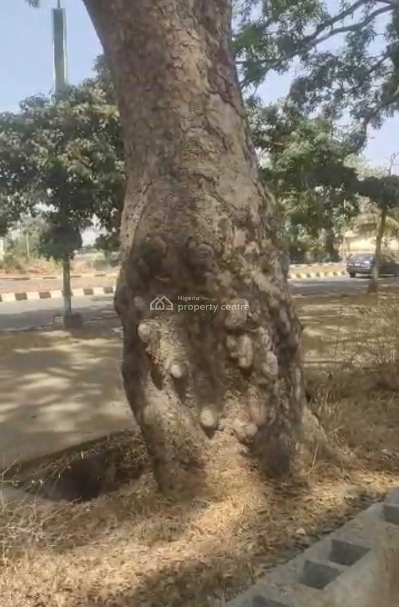 an Expanse of Land Measuring 3,888.888 Sqm, Along Tafawa Balewa Road, Garki, Abuja, Commercial Land for Rent