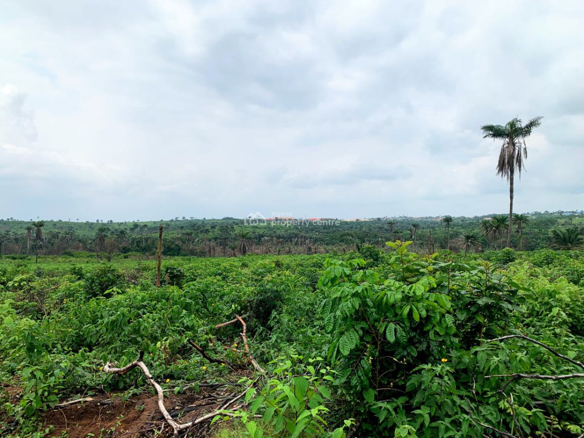 Affordable Farmland in Prime Location, Alphamark Farm City Estate Omu, Epe, Lagos, Commercial Land for Sale