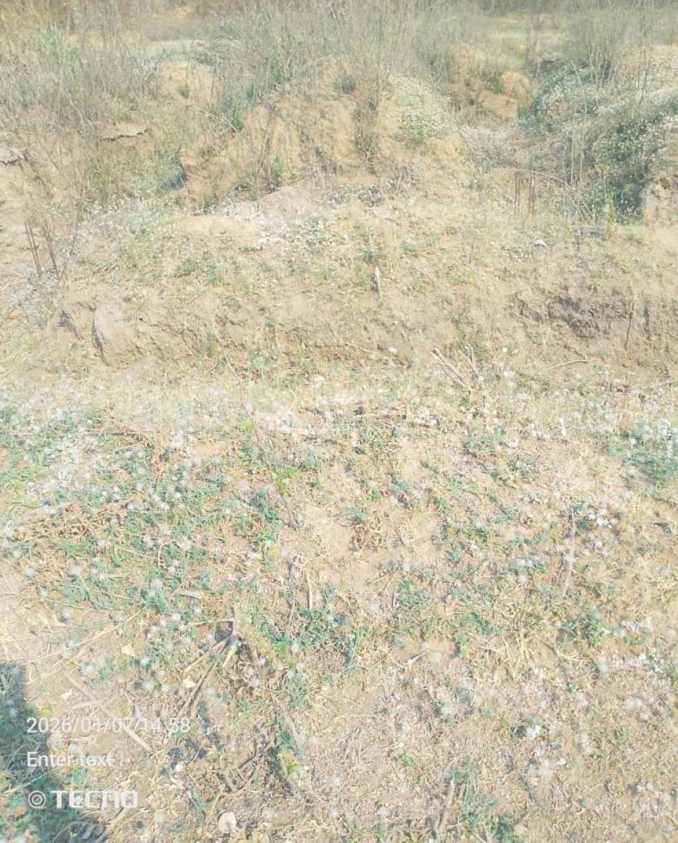 Super Distress Land Sala @lugbe Fha District Abuja, Fenced and Gated, Behind Dunamis Church, Off Amac Mkt,  Lugbe Dist., Lugbe District, Abuja, Residential Land for Sale