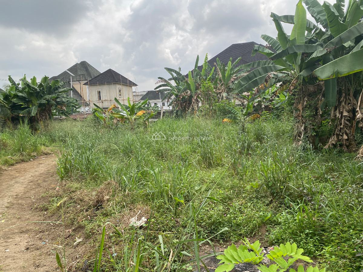 Well Located Two (2)  Plots of  Corner Piece  Land, Eneka Link Road ( Shell Cooperative), Port Harcourt, Rivers, Residential Land for Sale