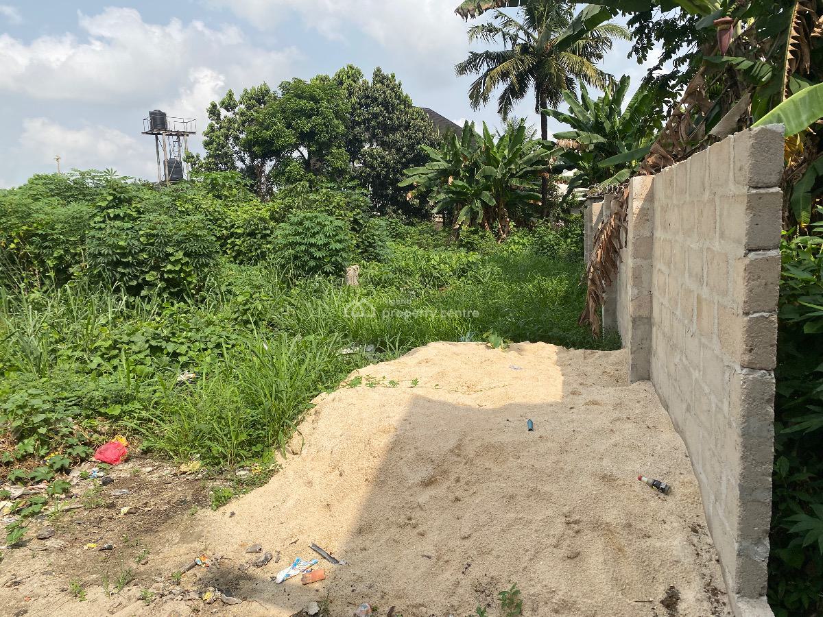 Well Located and Table Dry 2 Plots of Land, Eneka Link Road, Eneka, Port Harcourt, Rivers, Residential Land for Sale