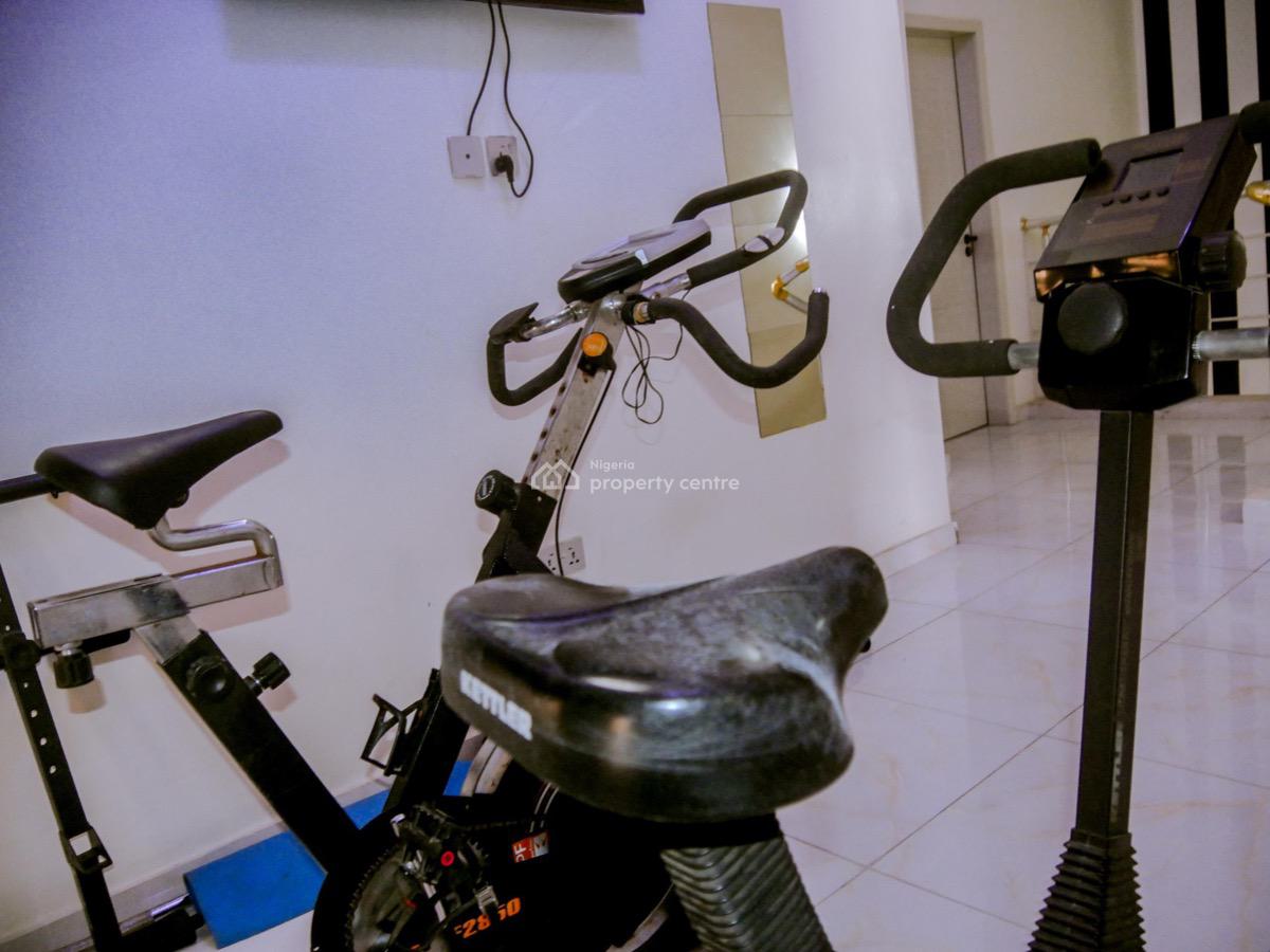 Luxury 4 Bedroom Fully Detached with Excellent Facility, Lekki County, Lekki, Lagos, Detached Duplex for Rent